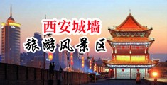 富婆小穴口中国陕西-西安城墙旅游风景区